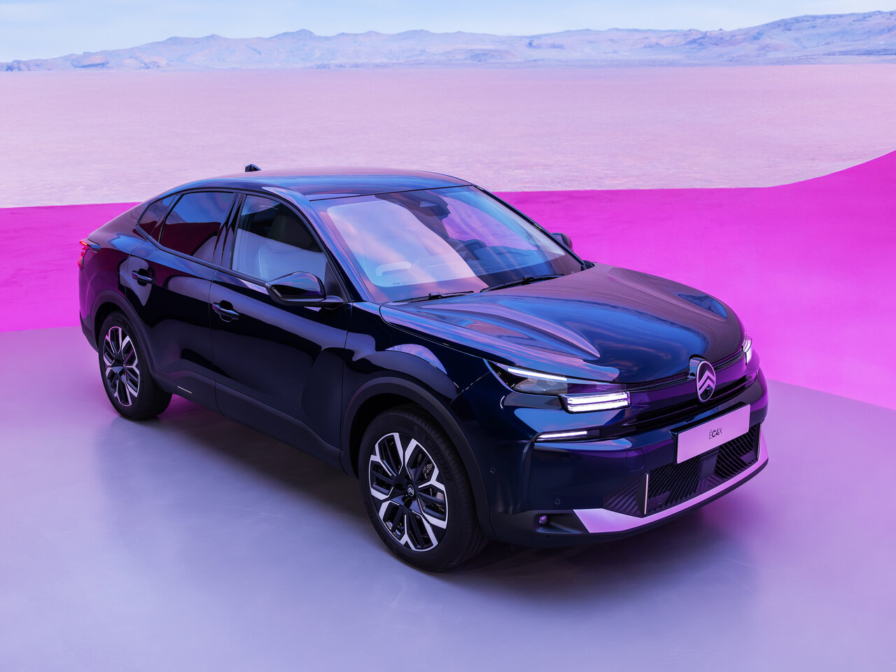 Подбор шин на Citroen C4 X