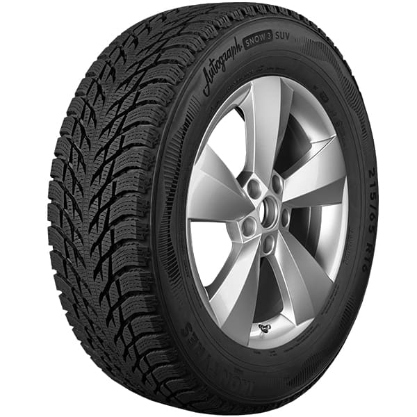 315/35Р21 Ikon Autograph Snow 3 SUV 111T лип.